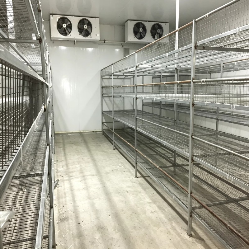 Hydroponic Container Farm with - Urban Farming Project recension och pris