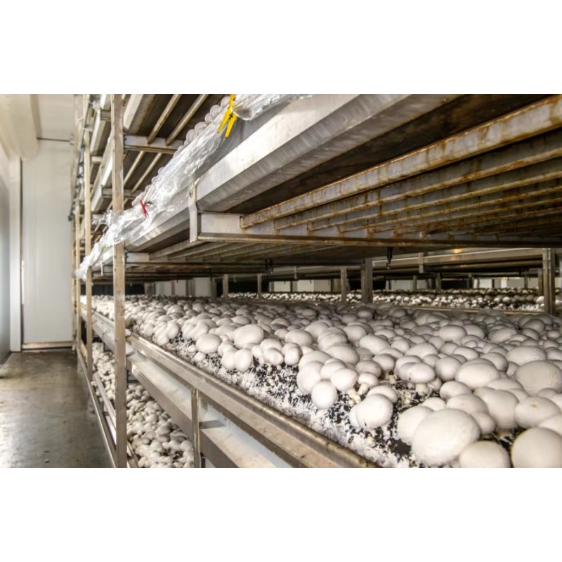 Hydroponic Container Farm with - Urban Farming Project recension och pris
